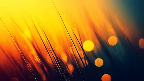 Fine golden strands sweep diagonally through orange light, dotted with soft out-of-focus sparks.