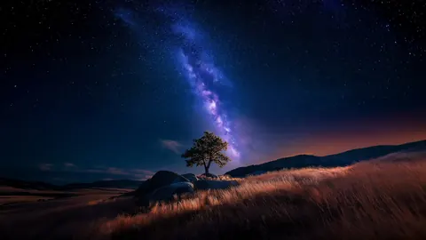 A single tree stands on a grassy hill under the Milky Way, with the last light of dusk on the horizon.