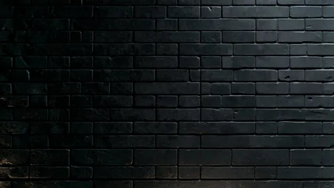 A dark brick wall fills the frame, with faint light raking across its rough edges.