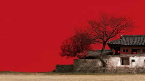 A bare red tree beside an old tiled-roof house, set against a solid red background.